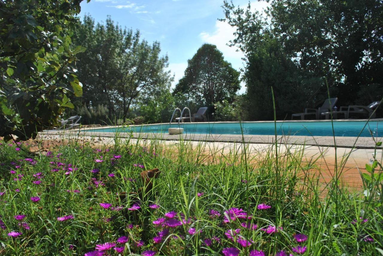 La Mandarine Bed & Breakfast Piolenc Exterior photo